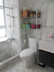 Zenith (D10), Apartment #140066892